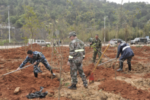 陽春三月雨，正是植樹好時節