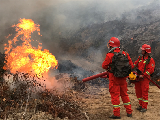 1608522350694063.png image.png