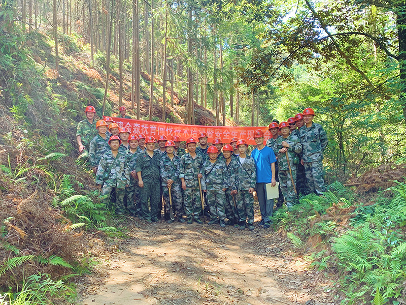 嚴把森林培育質量關,譜寫資源培育新篇章 嚴把森林培育質量關,譜寫資源培育新篇章