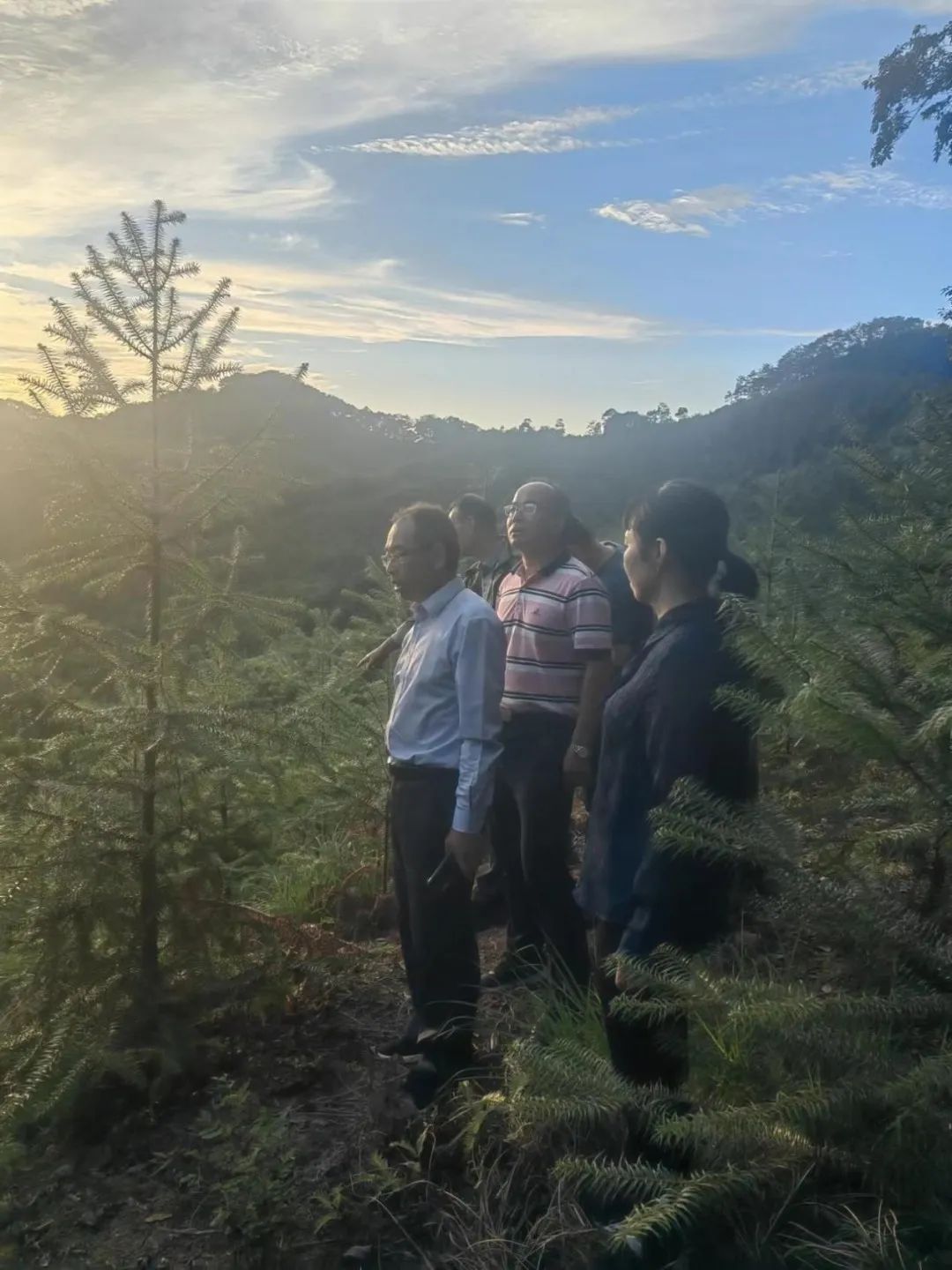 1667459049991756.jpg 1667459049991756.jpg