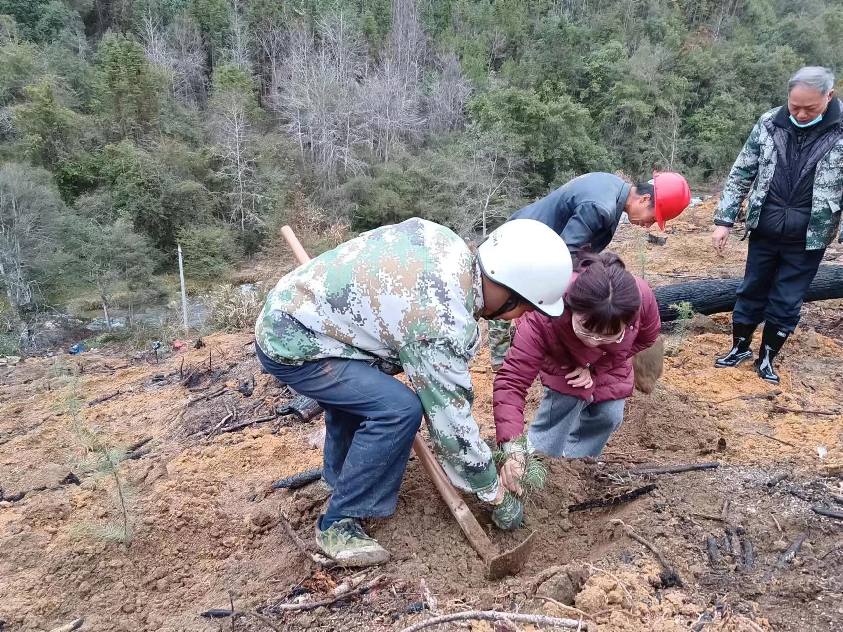 1675148706471925.jpg 1675148706471925.jpg